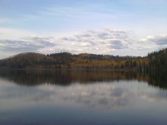 -五营红松林海景区