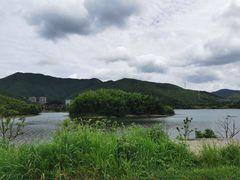 -宁波九龙湖开元度假村