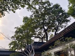 -杭州西湖柳莺里酒店·闻莺厅