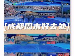-海合安成都极地海洋公园