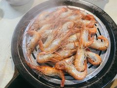 罗氏虾-渔文乐农庄