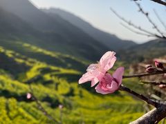 -篁岭景区