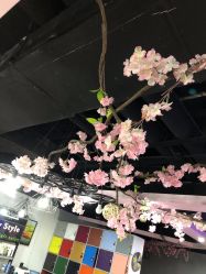 -Ly形象设计