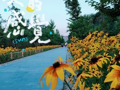 -森林公园(尖草坪区)