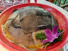 -二荆条·蜀鲜汇城市森林火锅