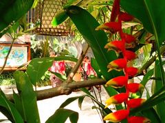 -厦门日月谷温泉渡假村