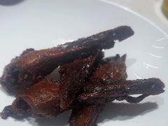 -杨氏青龙虾·羊蝎子(托乐嘉店)