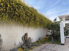 -石家庄市植物园