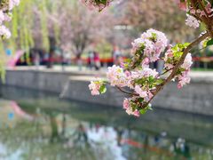 -元大都城垣遗址公园