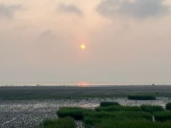 -启东黄金海滩景区