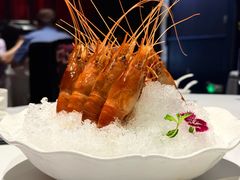 -南麓·浙里(外滩店)