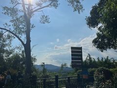 -天鹿湖森林公园