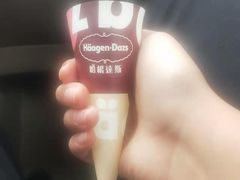 -哈根达斯(皇城恒隆广场店)