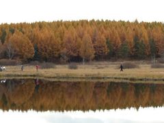 android_upload_pic-塞罕坝国家级自然保护区