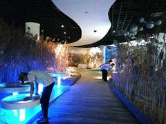 -上海长江河口科技馆