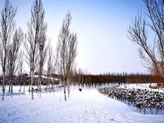 -东郊湿地公园