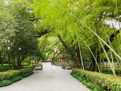 -阿育王寺
