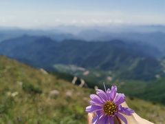 -白草畔自然风景区
