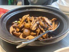 -陶陶居酒家(新天地店)