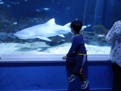-常州海昌海洋探索馆