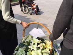 -宋庆龄陵园