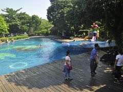 -开心农场温泉度假村