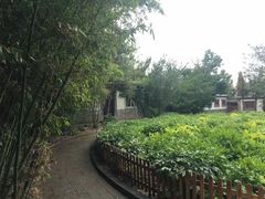 -戚继光故里