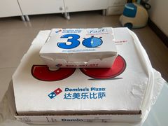 -达美乐比萨(北苑店)