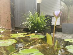 -云里小坐·小院里·团建·宴请·下午茶(三圣乡店)