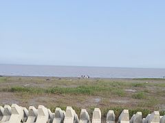 -南汇新城海滩