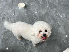 -芭比堂动物医院·CT·微创中心(新顺分院)