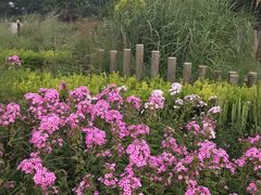 -牛角村(大族广场店)