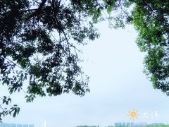-艾溪湖湿地公园