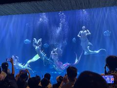 -华夏文旅西安度假区