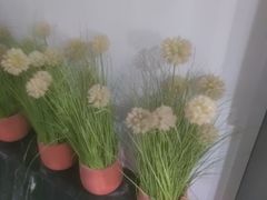-唐宫足道·SPA·住宿24H会所(木渎店)