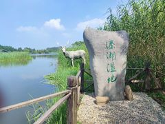 -溱湖国家湿地公园