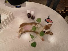-浣熊柯尔鸭土拨鼠·电玩咖