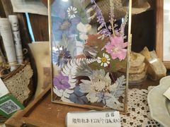 -知物癖(牛王庙店)
