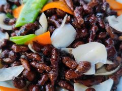 -清真·益鑫羊肉手抓馆(花园北街店)