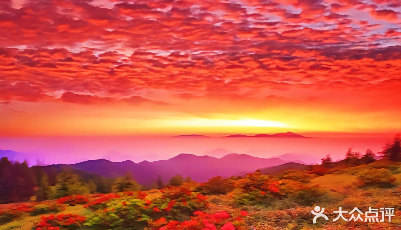 特别是他们家的法式焗生蚝，简直是海鲜爱好者的天堂