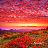 特别是他们家的法式焗生蚝，简直是海鲜爱好者的天堂