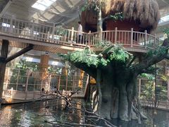 -南宫五洲植物乐园