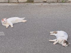 -钟山体育运动公园