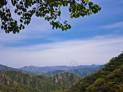 -大岭沟猕猴桃谷风景区
