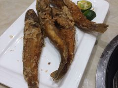 -稻香酒家·33年老字号·港式粤菜(富邦中心店)