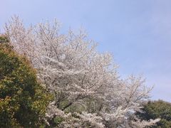 -苏州上方山国家森林公园