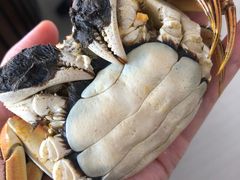 -乡乐园蟹庄·阳澄湖农家乐
