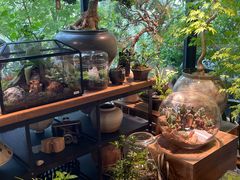 -自由生长植物工作室(深港花卉中心店)