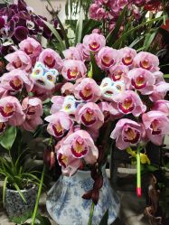 -今日陶艺(富力广场店)