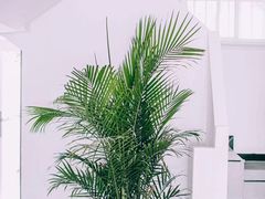 -麓舍全景太湖温泉别墅团建拓展会议亲子